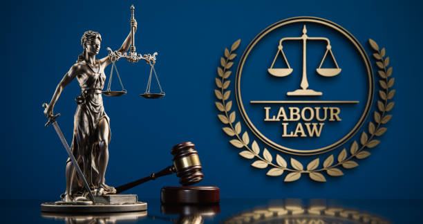 istockphoto 2168987435 612x612 1